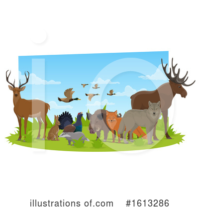 Grouse Clipart #1613286 by Vector Tradition SM