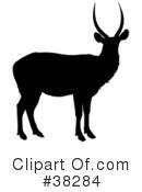 Antelope Clipart #38284 by dero