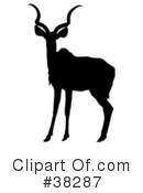 Antelope Clipart #38287 by dero