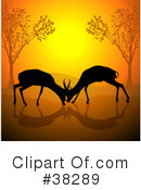 Antelope Clipart #38289 by dero