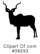 Antelope Clipart #38293 by dero