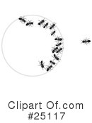 Ants Clipart #25117 by Leo Blanchette