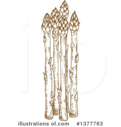 Royalty-Free (RF) Asparagus Clipart Illustration by Vector Tradition SM - Stock Sample #1377763