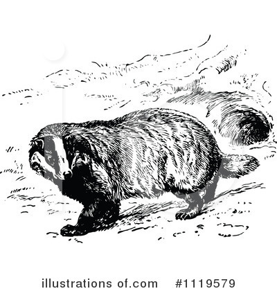 Royalty-Free (RF) Badger Clipart Illustration by Prawny Vintage - Stock Sample #1119579