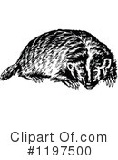 Badger Clipart #1197500 by Prawny Vintage