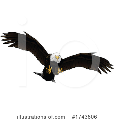 Royalty-Free (RF) Bald Eagle Clipart Illustration by dero - Stock Sample #1743806