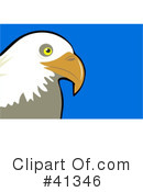 Bald Eagle Clipart #41346 by Prawny