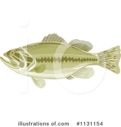 Royalty-Free (RF) Bass Fish Clipart Illustration by patrimonio - Stock Sample #1131154
