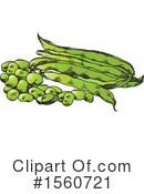 Beans Clipart #1560721 by Lal Perera