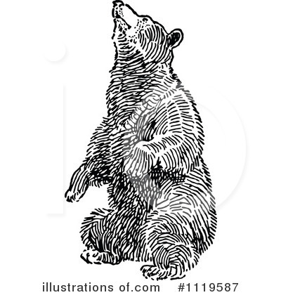 Bear Clipart #1119587 by Prawny Vintage