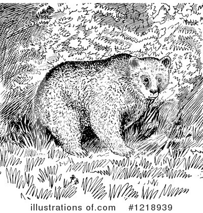 Royalty-Free (RF) Bear Clipart Illustration by Picsburg - Stock Sample #1218939