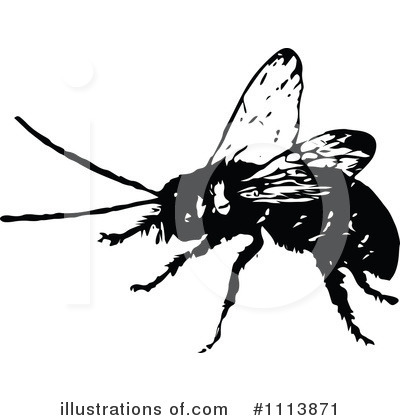 Bee Clipart #1113871 by Prawny Vintage