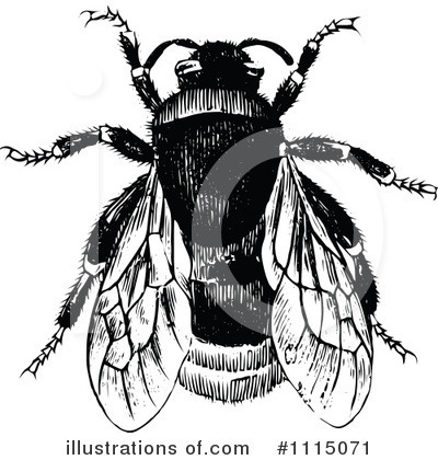 Royalty-Free (RF) Bee Clipart Illustration by Prawny Vintage - Stock Sample #1115071