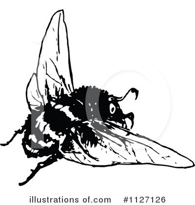 Bee Clipart #1127126 by Prawny Vintage