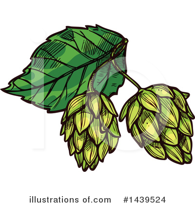Hops Clipart #1439524 by Vector Tradition SM