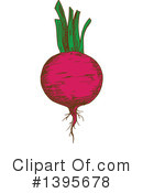 Beet Clipart #1395678 by Vector Tradition SM