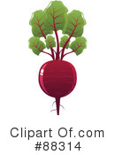 Beet Clipart #88314 by Tonis Pan