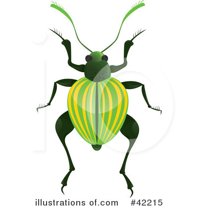 Insect Clipart #42215 by Paulo Resende