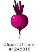 Beets Clipart #1246810 by Vector Tradition SM