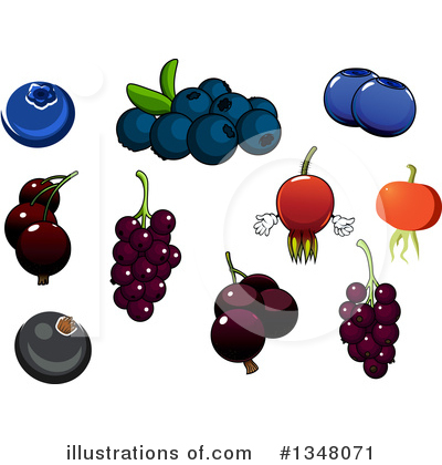 Briar Fruit Clipart #1348071 by Vector Tradition SM