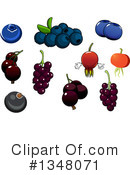 Berry Clipart #1348071 by Vector Tradition SM