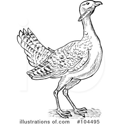 Royalty-Free (RF) Bird Clipart Illustration by patrimonio - Stock Sample #104495