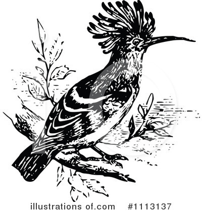 Royalty-Free (RF) Bird Clipart Illustration by Prawny Vintage - Stock Sample #1113137