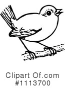 Bird Clipart #1113700 by Prawny Vintage