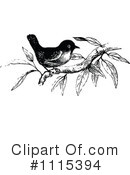 Bird Clipart #1115394 by Prawny Vintage