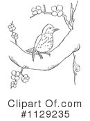 Bird Clipart #1129235 by Picsburg