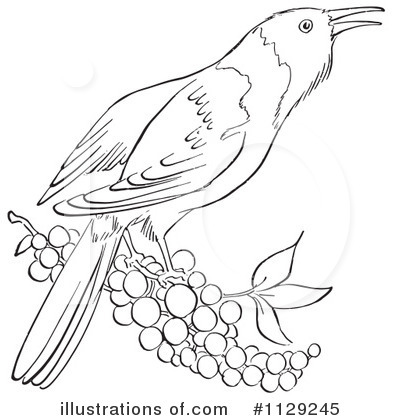 Royalty-Free (RF) Bird Clipart Illustration by Picsburg - Stock Sample #1129245
