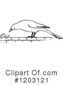 Bird Clipart #1203121 by Prawny Vintage