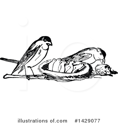 Royalty-Free (RF) Bird Clipart Illustration by Prawny Vintage - Stock Sample #1429077