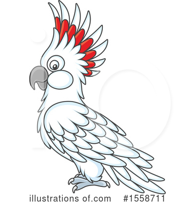 Cockatoo Clipart #1558711 by Alex Bannykh
