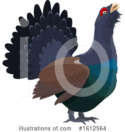 Grouse Clipart #1612564 by Vector Tradition SM