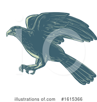 Falcon Clipart #1615366 by patrimonio