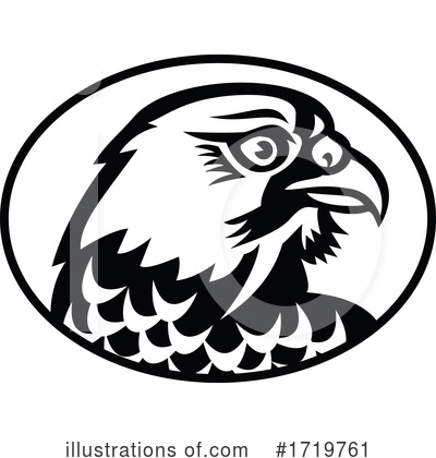 Peregrine Falcon Clipart #1719761 by patrimonio