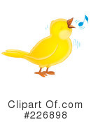 Bird Clipart #226898 by Alex Bannykh
