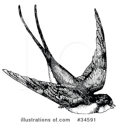 Royalty-Free (RF) Bird Clipart Illustration by C Charley-Franzwa - Stock Sample #34591