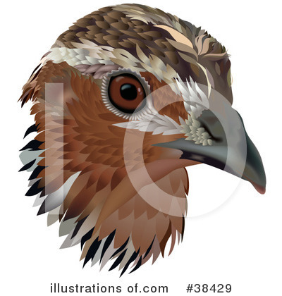 Royalty-Free (RF) Bird Clipart Illustration by dero - Stock Sample #38429