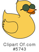 Bird Clipart #5743 by djart