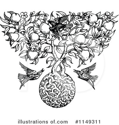 Apple Tree Clipart #1149311 by Prawny Vintage