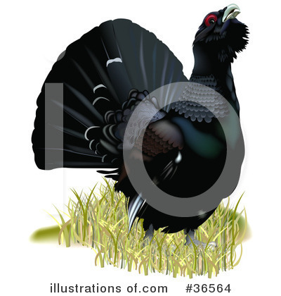 Royalty-Free (RF) Birds Clipart Illustration by dero - Stock Sample #36564