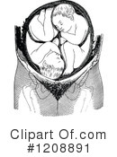 Birth Clipart #1208891 by Prawny Vintage