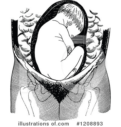 Royalty-Free (RF) Birth Clipart Illustration by Prawny Vintage - Stock Sample #1208893
