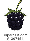 Blackberry Clipart #1307454 by Vector Tradition SM