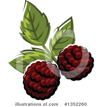 Blackberries Clipart #1352260 by Vector Tradition SM
