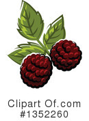 Blackberry Clipart #1352260 by Vector Tradition SM