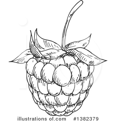 Royalty-Free (RF) Blackberry Clipart Illustration by Vector Tradition SM - Stock Sample #1382379