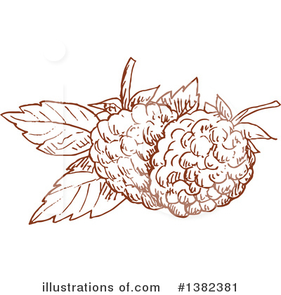Blackberries Clipart #1382381 by Vector Tradition SM